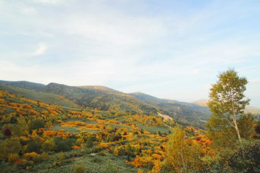 hachimantai'nın renkli yapraklarda