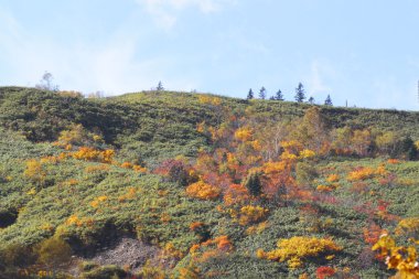 hachimantai'nın renkli yapraklarda