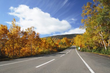 Road and colorful leaves in Hachimantai clipart