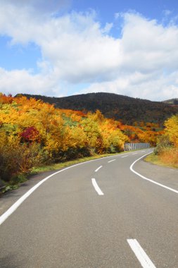 yol ve hachimantai renkli yapraklarda