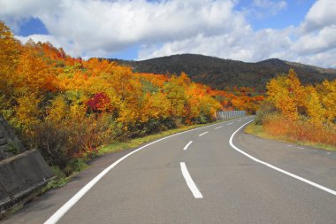 yol ve hachimantai renkli yapraklarda