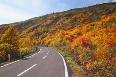 yol ve hachimantai renkli yapraklarda