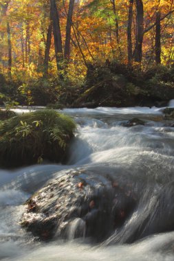 oirase Nehri'nin sonbahar renkleri