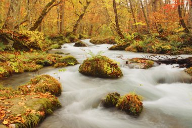 oirase Nehri'nin sonbahar renkleri