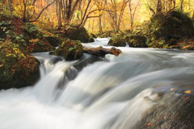 oirase Nehri'nin sonbahar renkleri