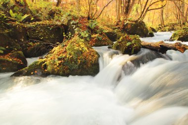 oirase Nehri'nin sonbahar renkleri