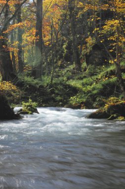 oirase Nehri'nin sonbahar renkleri