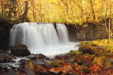 oirase Nehri'nin sonbahar renkleri