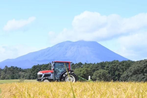 MT.Iwate och landskap risfält — Stockfoto
