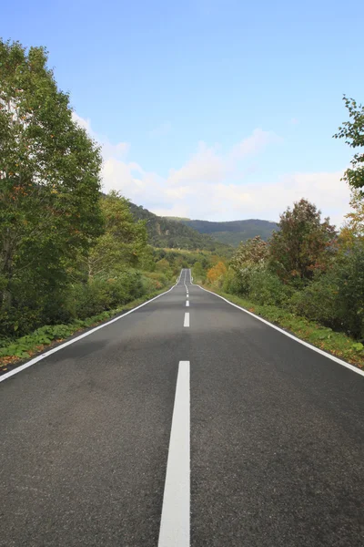 stock image Colorful leaves and road