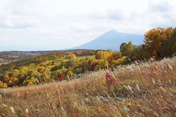 Гора Ивате и красочные листья на Хачимантае — стоковое фото
