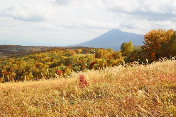 Гора Ивате и красочные листья на Хачимантае — стоковое фото