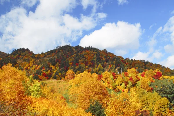 Hachimantai'nın renkli yapraklarda — Stok fotoğraf