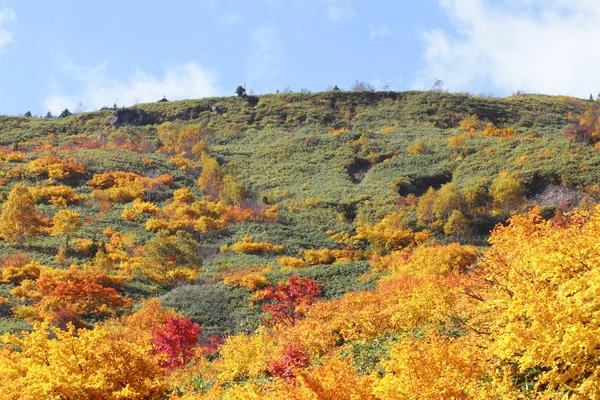 Kleurrijke bladeren in hachimantai — Stockfoto