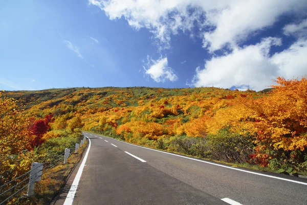 Road and colorful leaves in Hachimantai — Stock Photo, Image