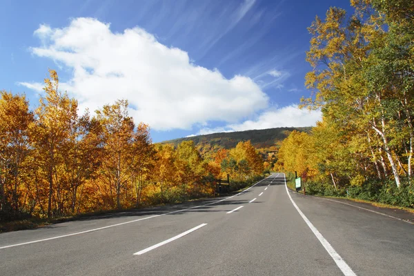 Közúti és színes levelek a Hachimantai — Stock Fotó