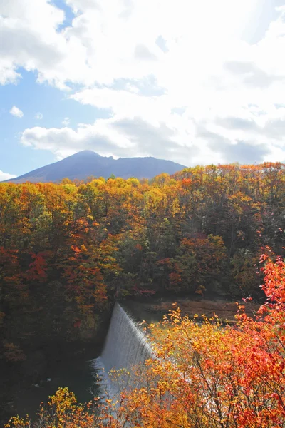 Färgglada löv i gully matsukawa — Stockfoto