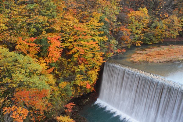 stock image Colorful leaves in Gully Matsukawa