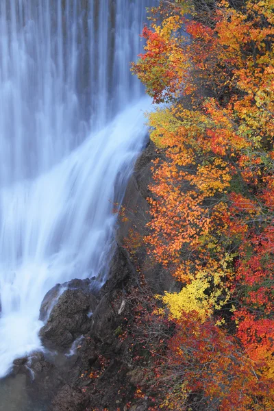 stock image Colorful leaves in Gully Matsukawa