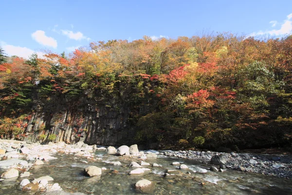 Színes levelek a mocsári Matsukawa — Stock Fotó