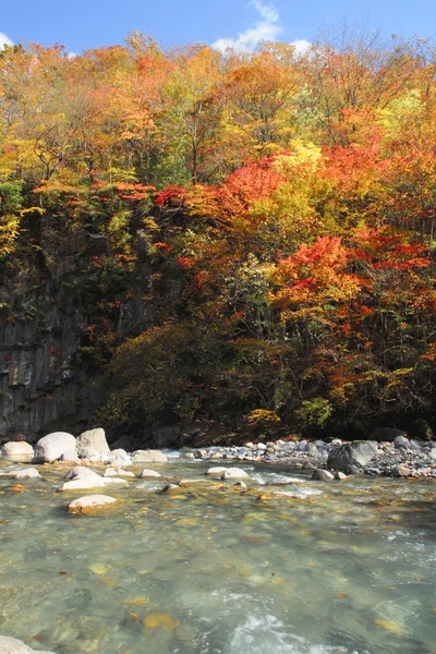 Πολύχρωμα φύλλα στο ρέμα matsukawa — Φωτογραφία Αρχείου