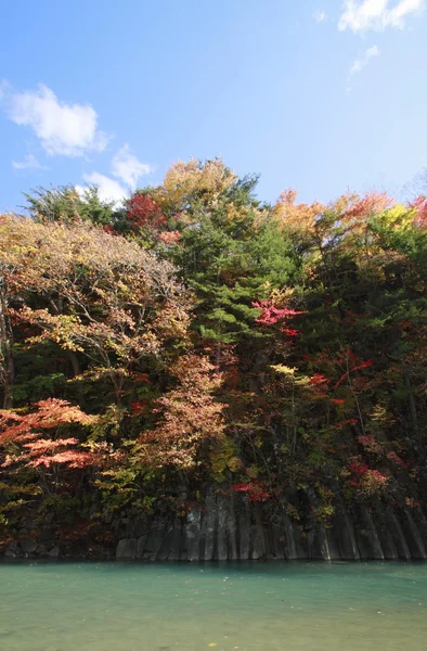 Hojas coloridas en Gully Matsukawa —  Fotos de Stock