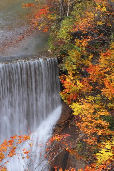 stock image Colorful leaves in Gully Matsukawa