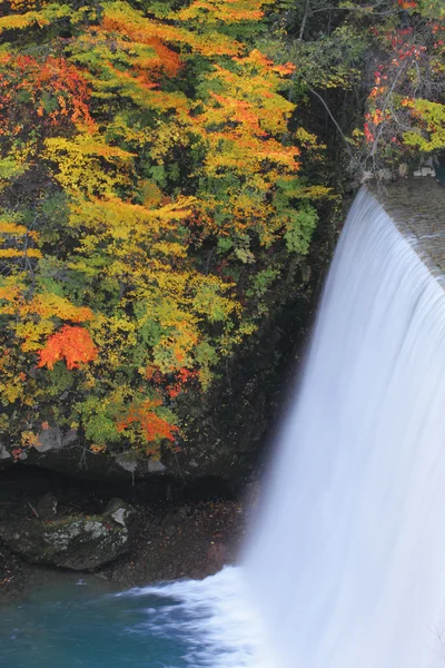 Kleurrijke bladeren in gully matsukawa — Stockfoto