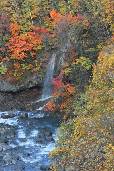 Барвисті листя і водоспад — стокове фото