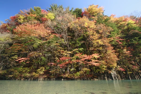 Colorful leaves in Gully Matsukawa — Stock Photo, Image