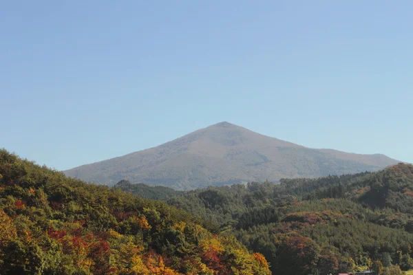カラフルな葉と mt.himekami — ストック写真