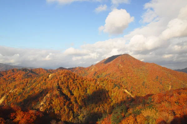 須川と秋の葉色 — ストック写真