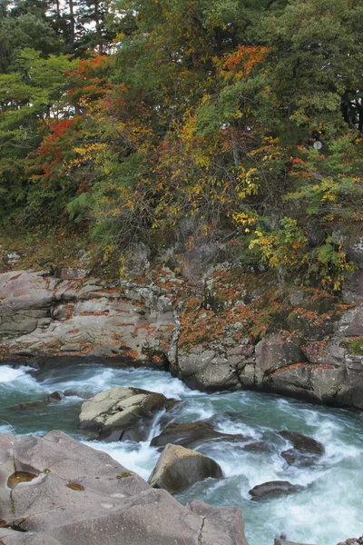 Колір потоку та осіннього листя — стокове фото