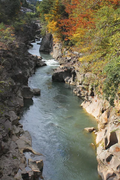 Stream and Autumn leaf color — Stock Photo, Image