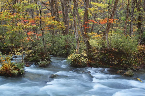 stock image Autumn Colors of Oirase River