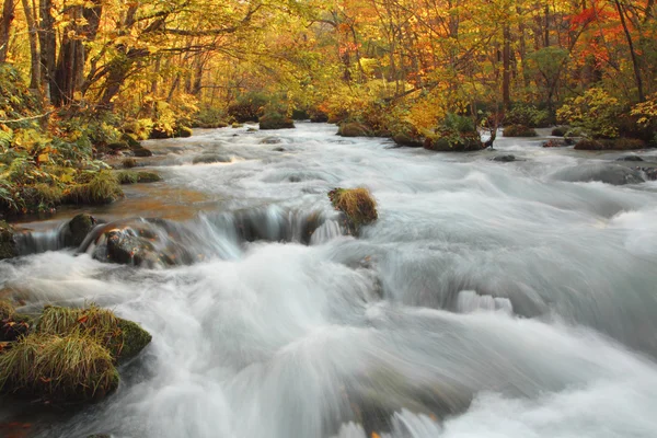 oirase Nehri'nin sonbahar renkleri