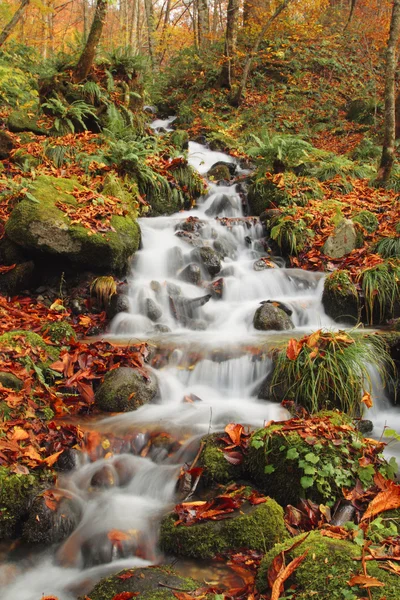 stock image Autumn Colors of Oirase River