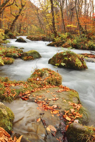 stock image Autumn Colors of Oirase River