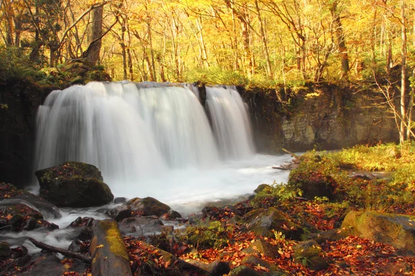 stock image Autumn Colors of Oirase River