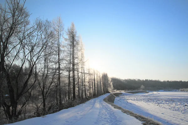 stock image Snow field