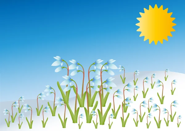 Beau vecteur printemps chute de neige fleurs et herbe contre le ciel avec soleil — Image vectorielle