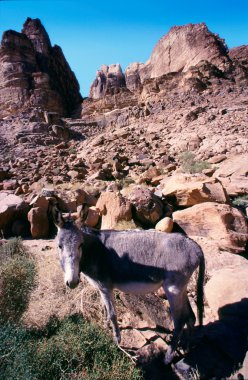 Wadi rum çöl