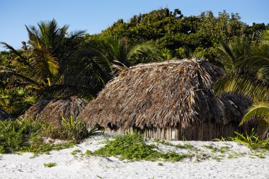 Cabana on the beach clipart