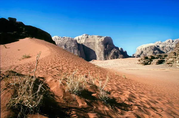 Wadi Désert de rhum — Photo