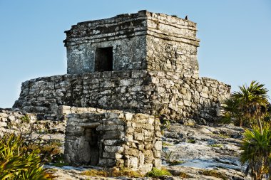 tulum Maya archeologic sitesi