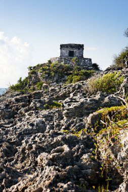 tulum Maya archeologic sitesi