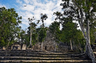 coba Maya sitesi