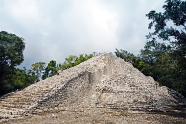 coba Maya sitesi