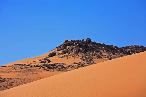 Desert sand dune — Stock Photo, Image