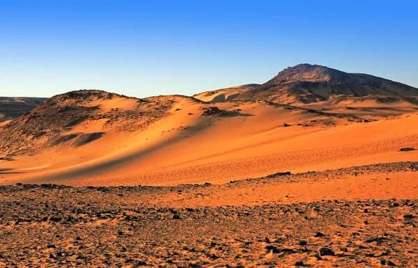 Пустынная дюна — стоковое фото